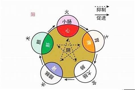 明 五行屬性|五行看明字：命理專家解讀